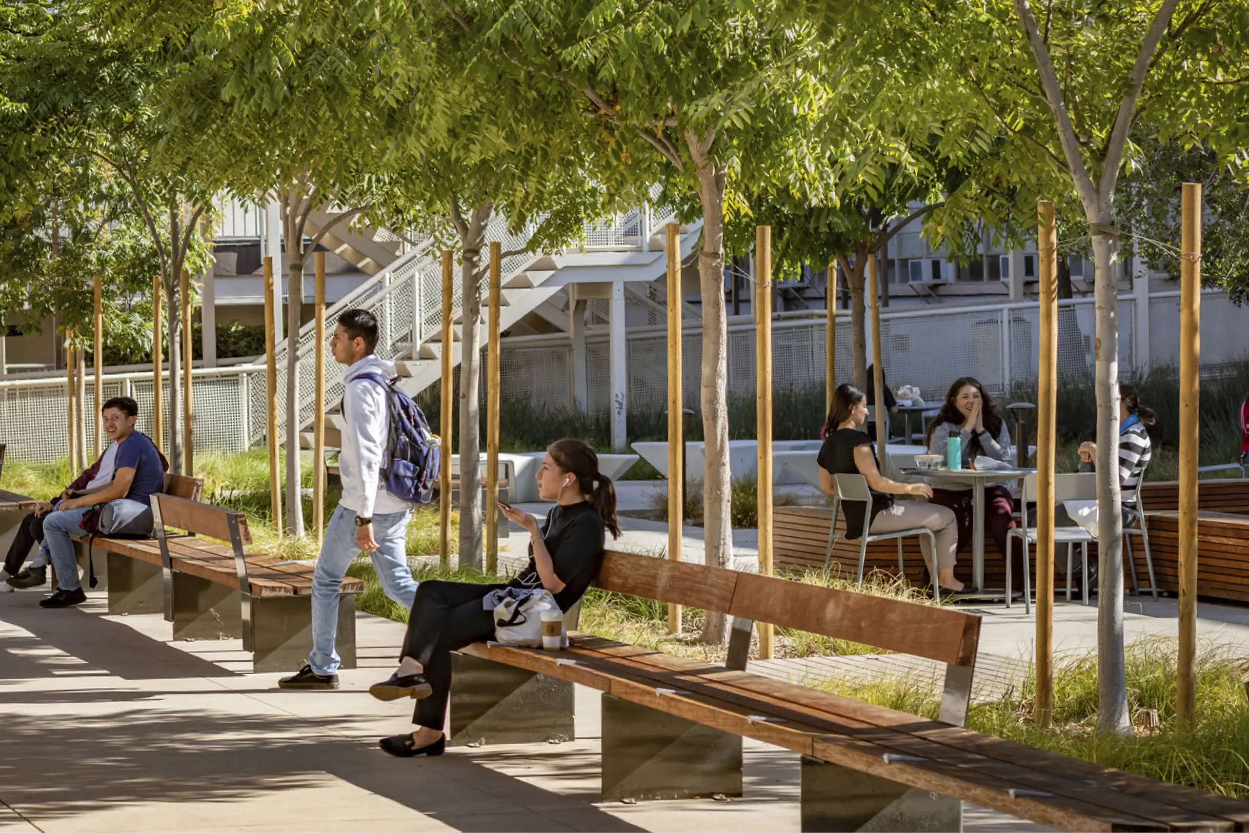 Higher Education_CSULB_2