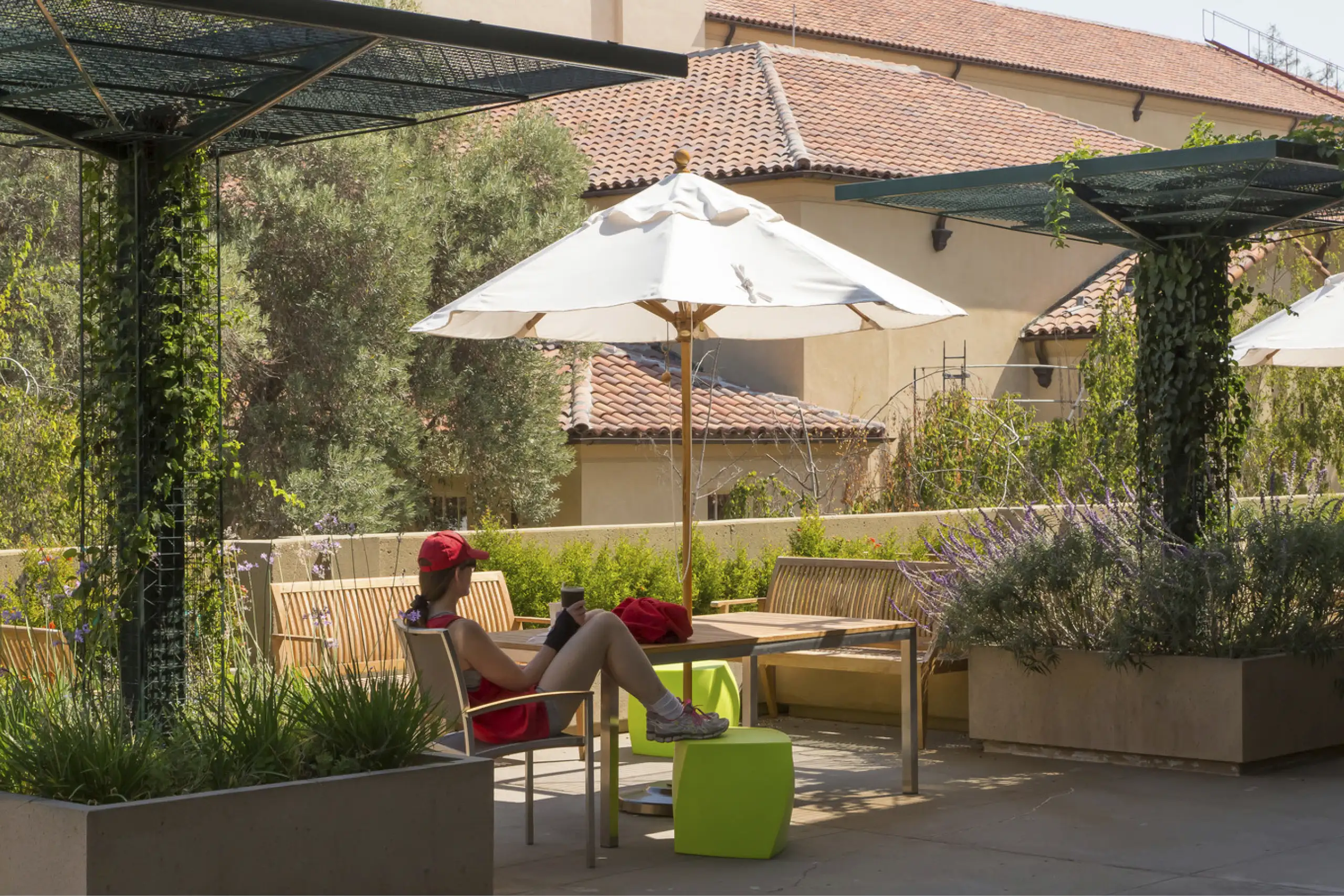 Higher Education_Stanford_2