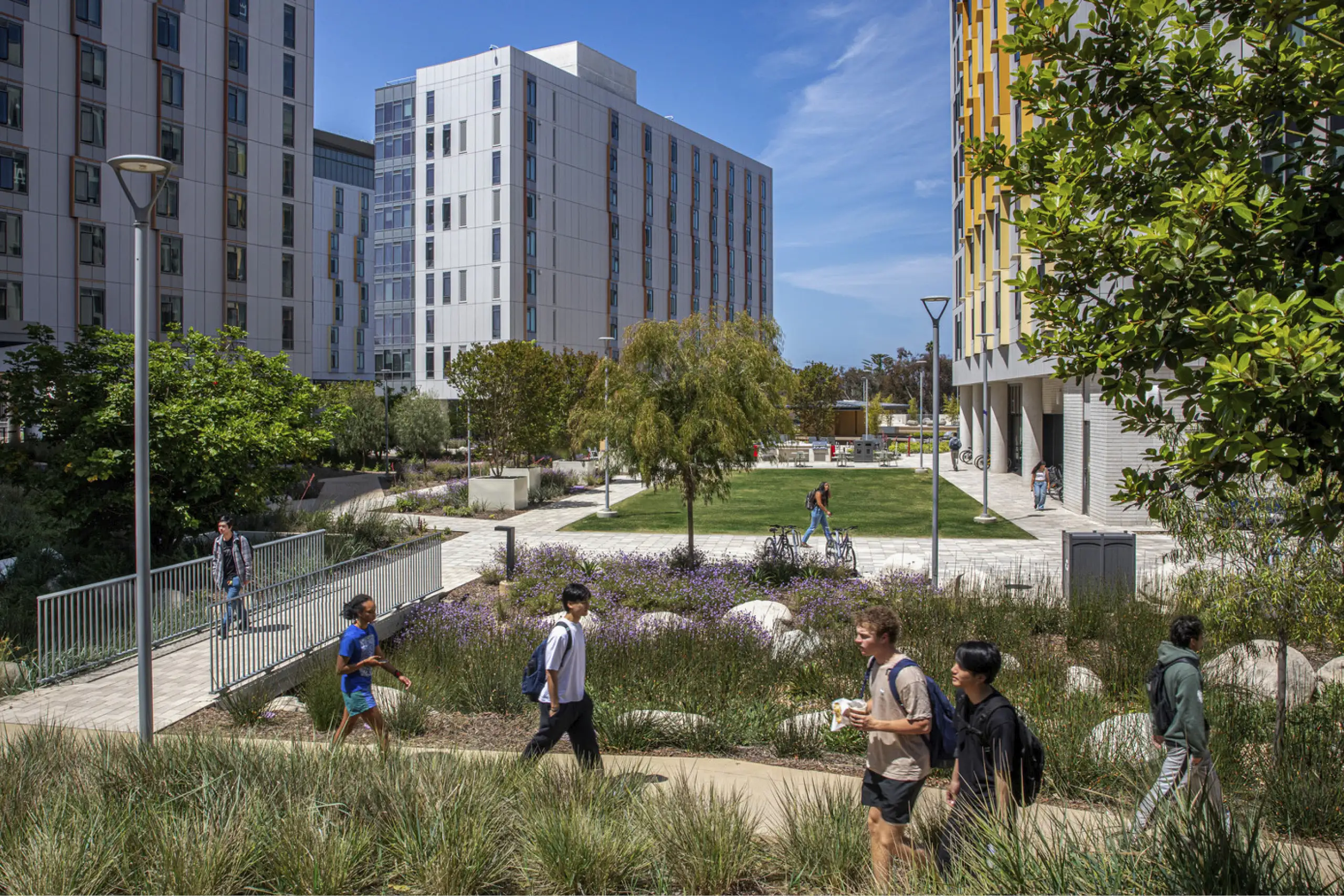 Higher Education_UCSD_2