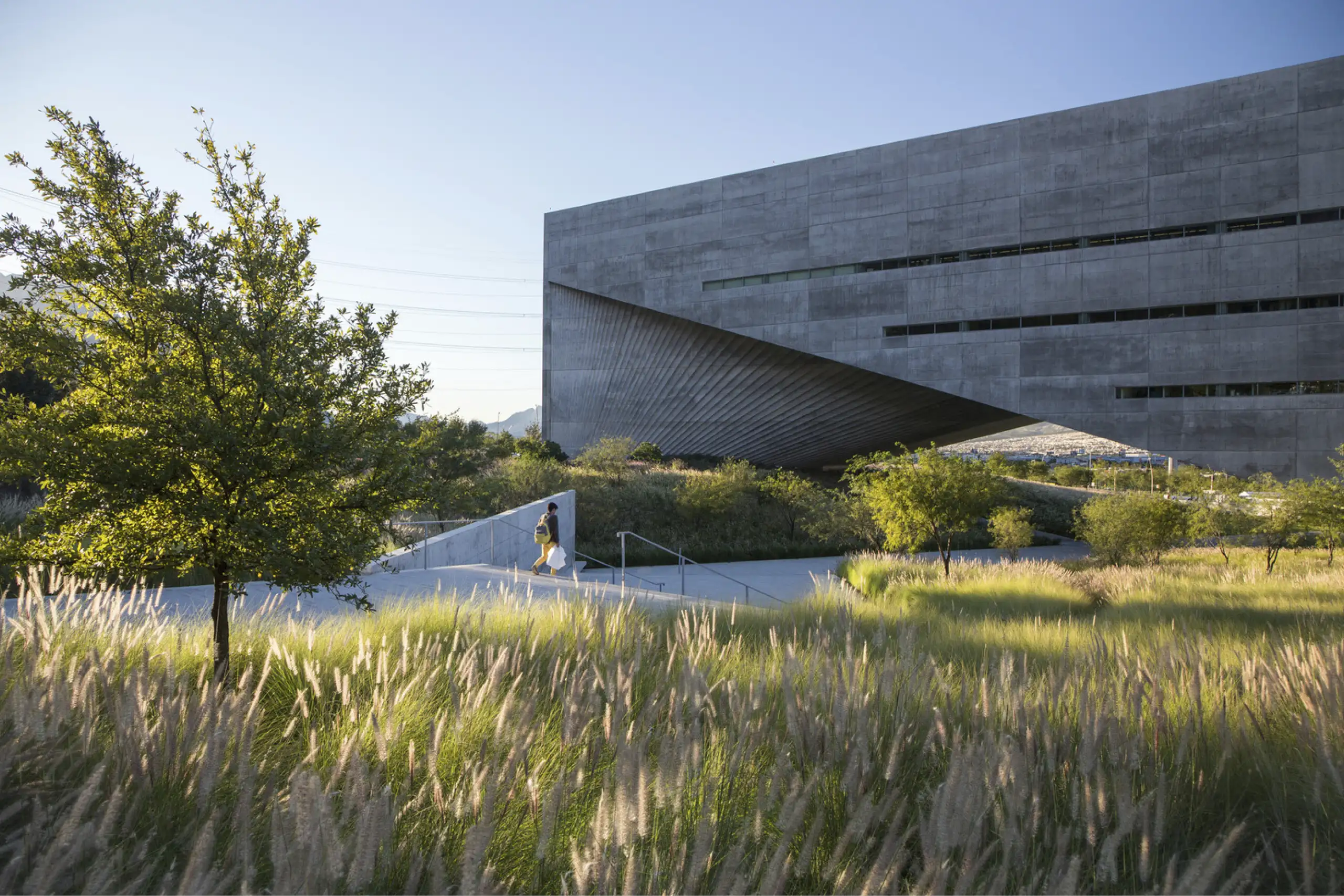 Higher Education_UDEM_1