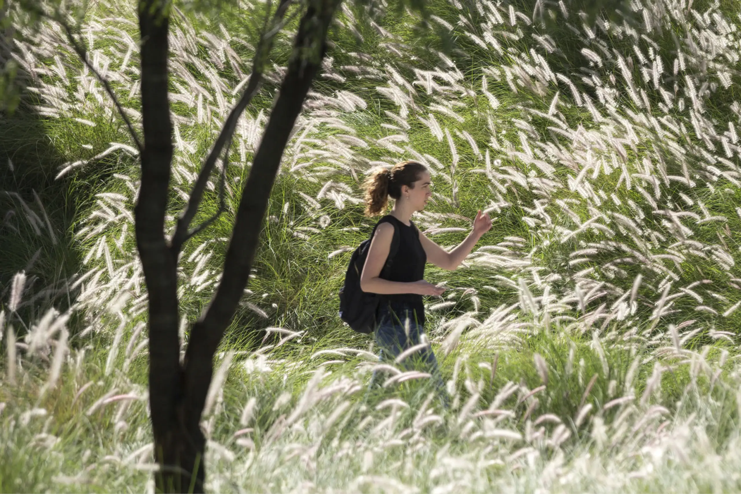 Higher Education_UDEM_2