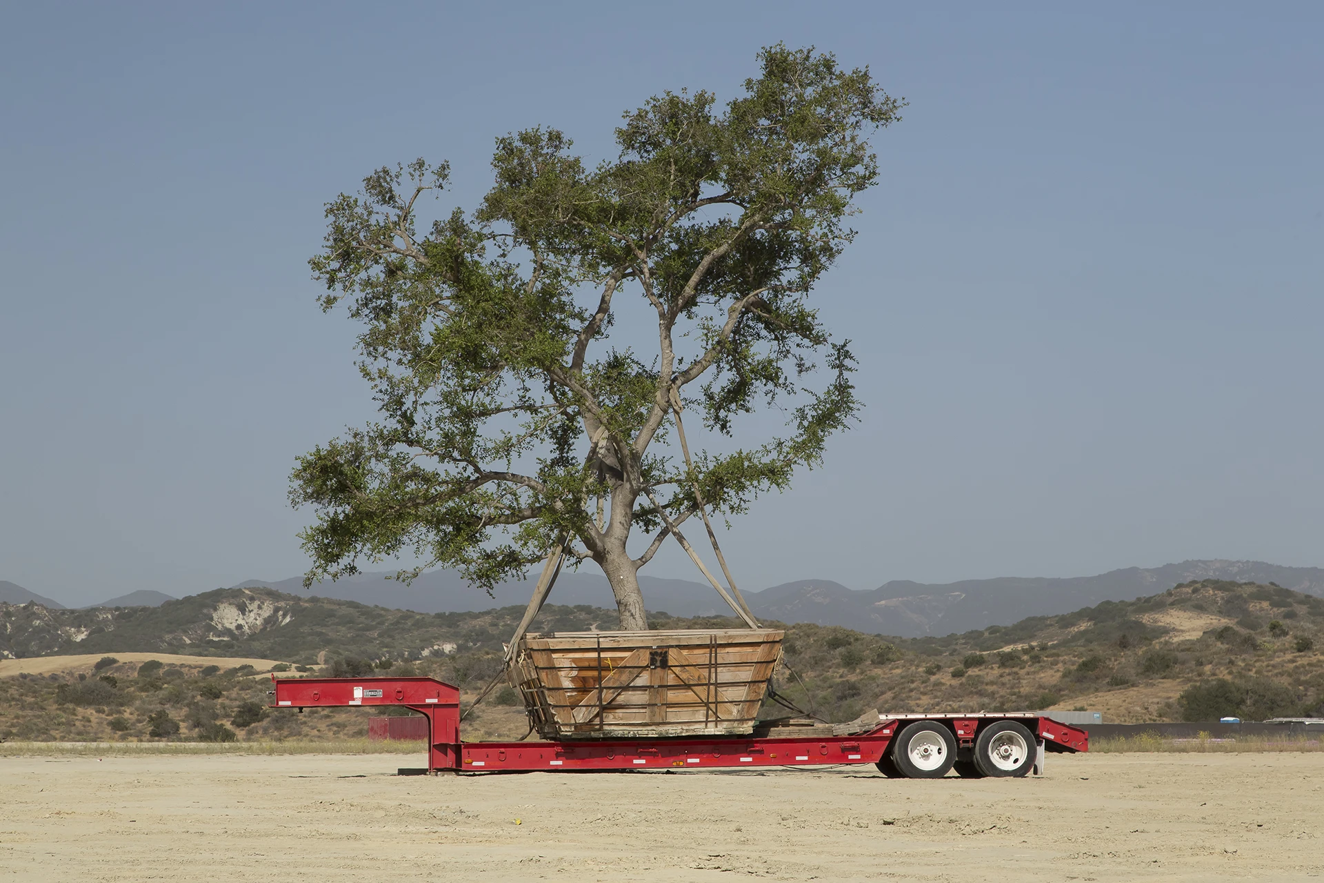 Rancho Mission Viejo_Tom Fox_Tree Transit